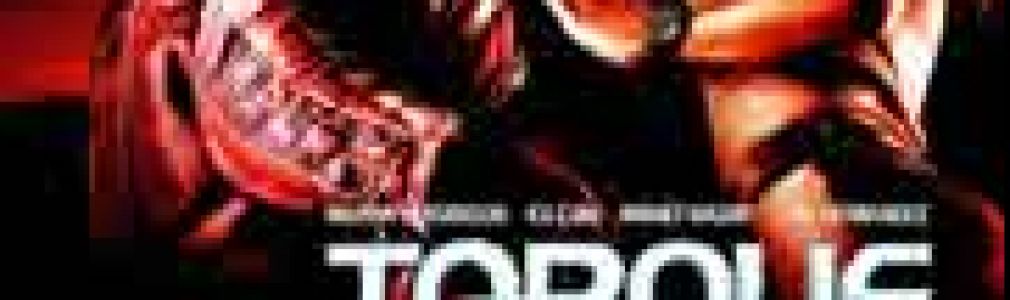 Torque (rodando al límite)